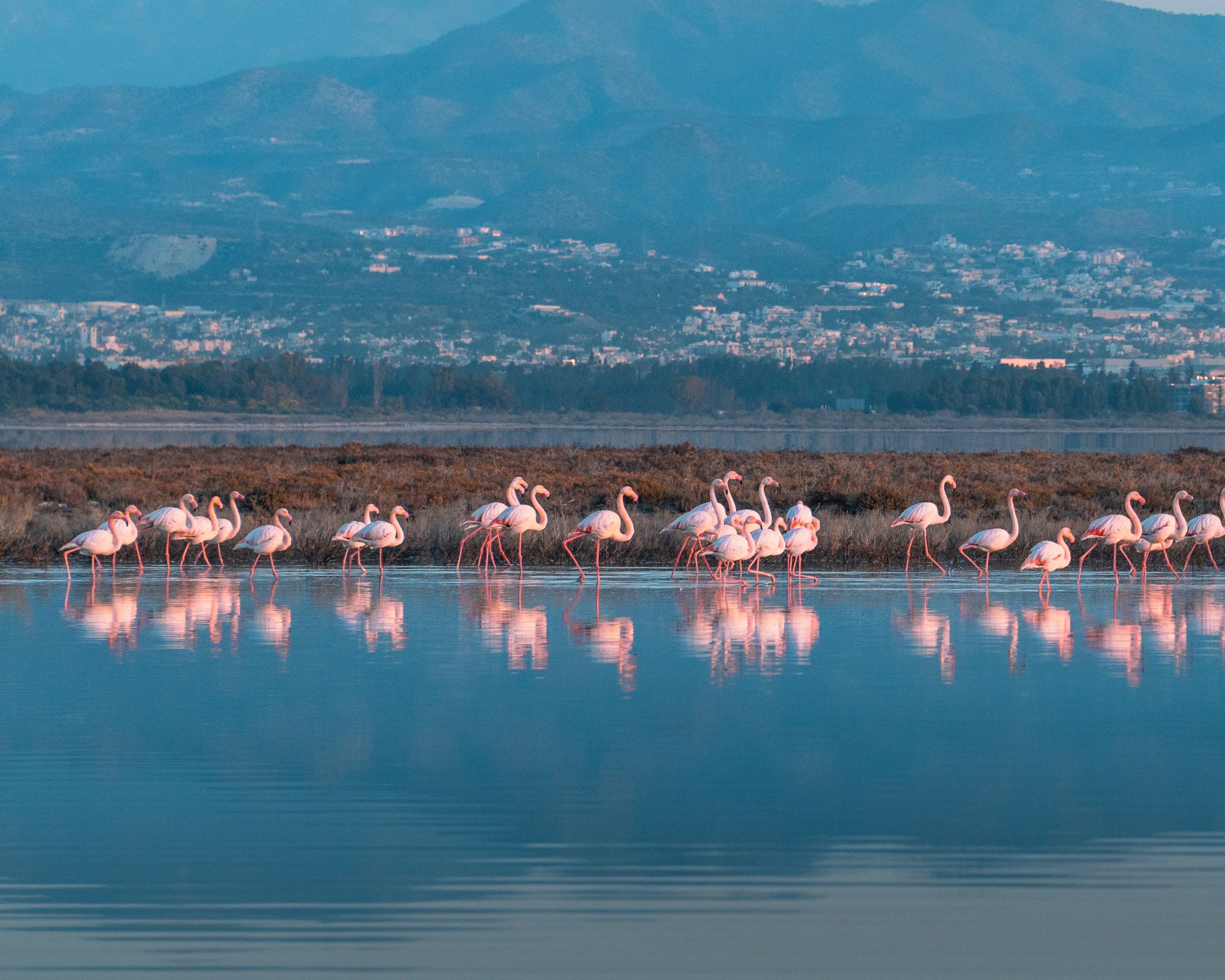 Custom Travel Planning